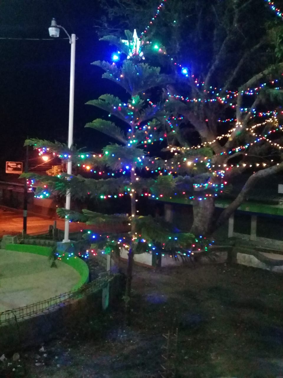 navidad